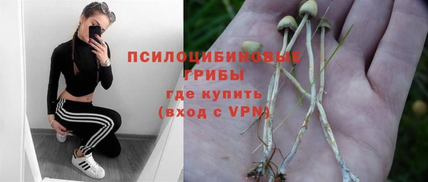 mdpv Алзамай