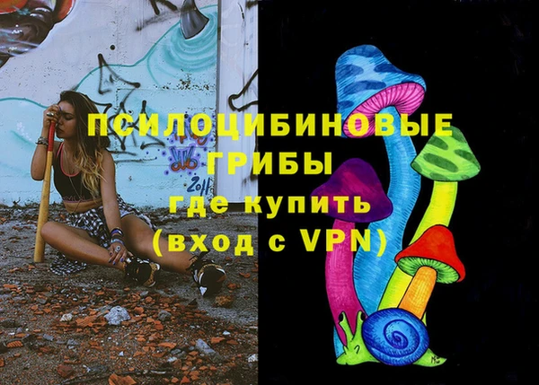 МДПВ Алексин